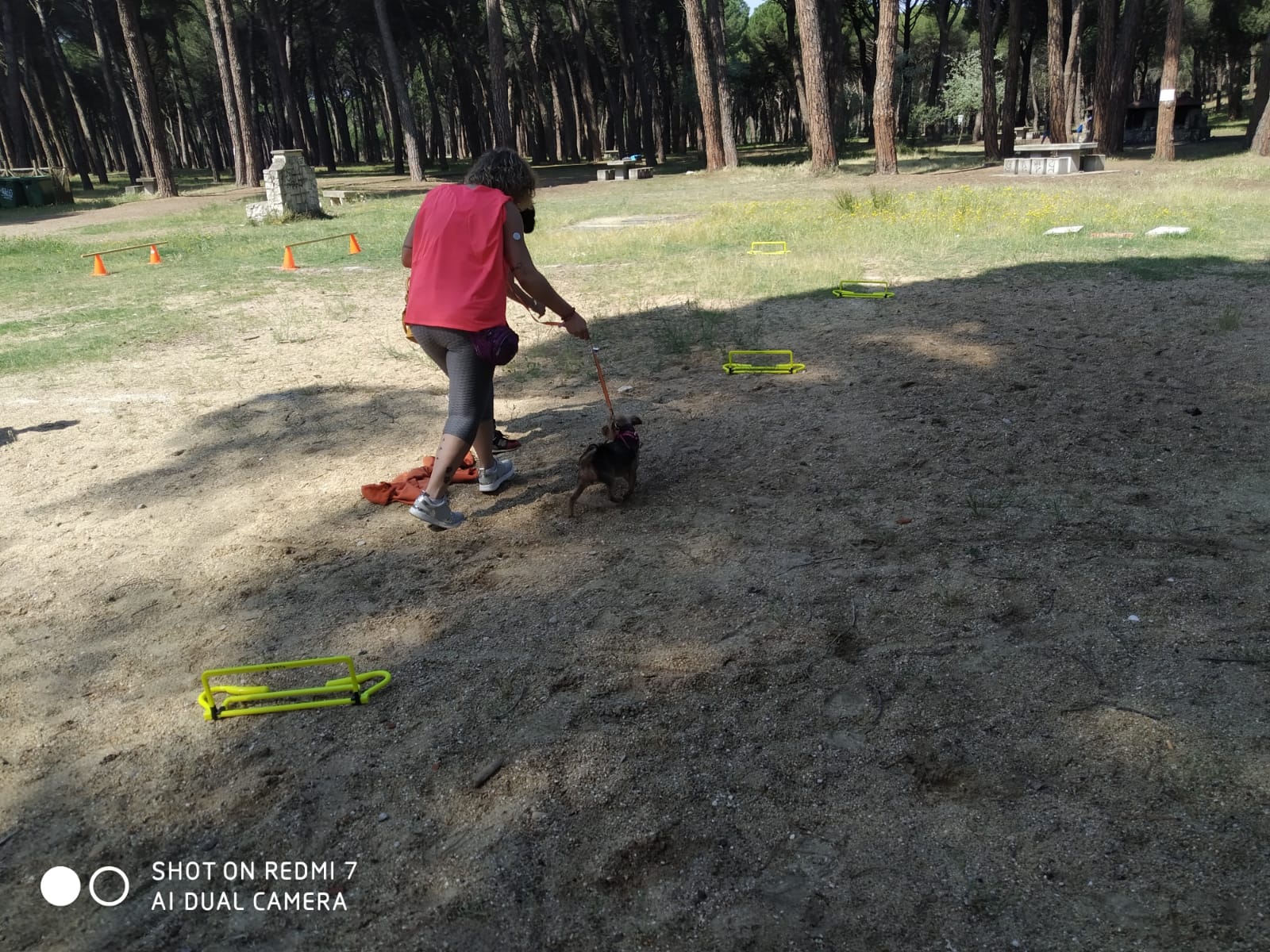 Dog Tracking en la Naturaleza