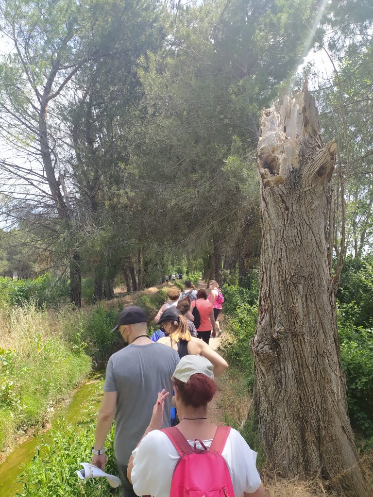 Biodiversidad del Pinar y la Acequia