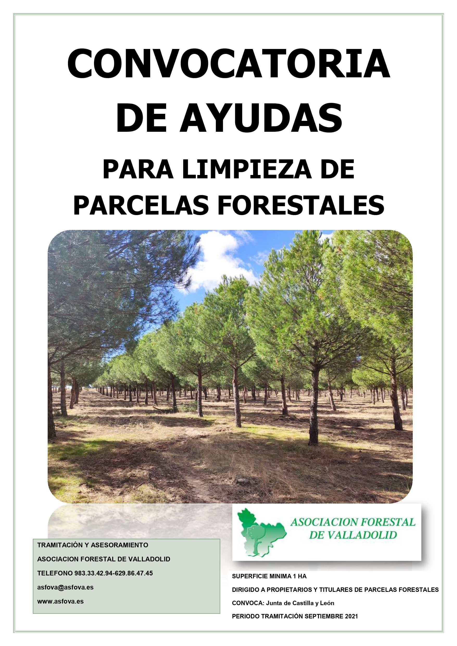 La Junta de Castilla y León hará público en septiembre las subvenciones para limpiezas forestales en terrenos privados (para particulares ) y en terrenos del ayuntamiento que sean de libre disposición.
