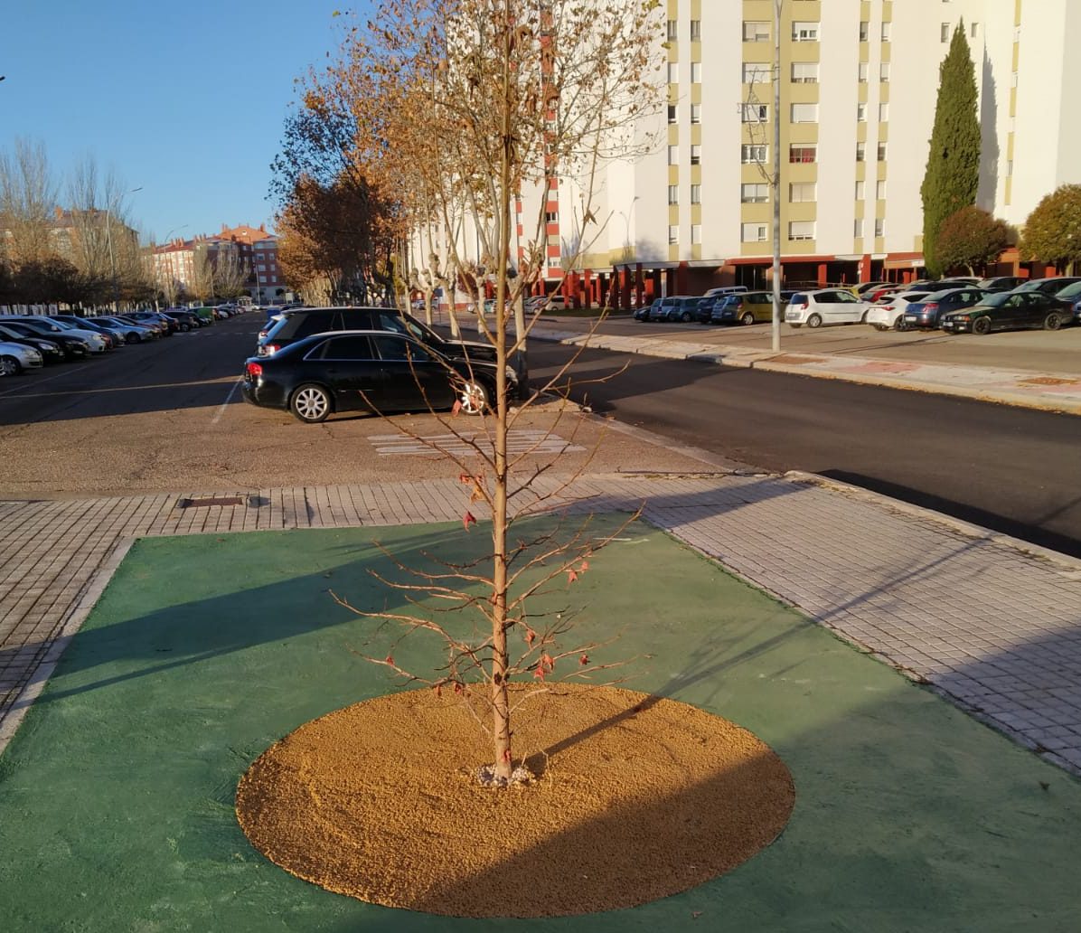 Obras de acondicionamiento del municipio