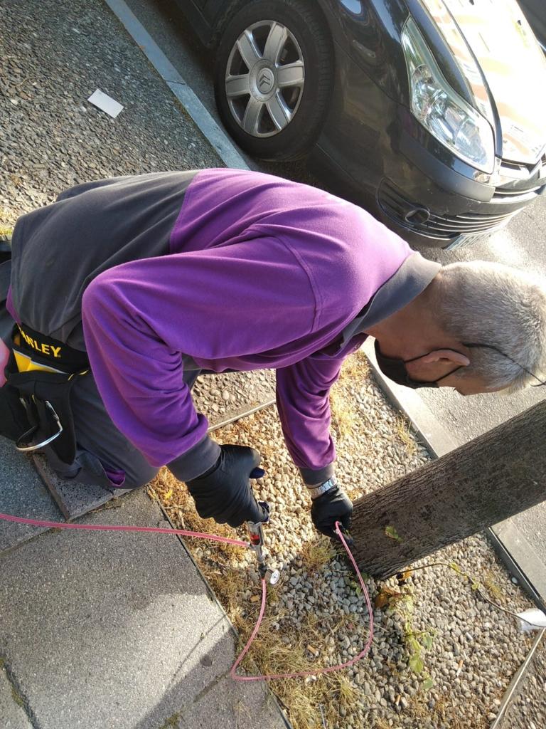 El Ayuntamiento de Laguna de Duero aplica tratamientos de endoterapia en diferentes árboles del municipio