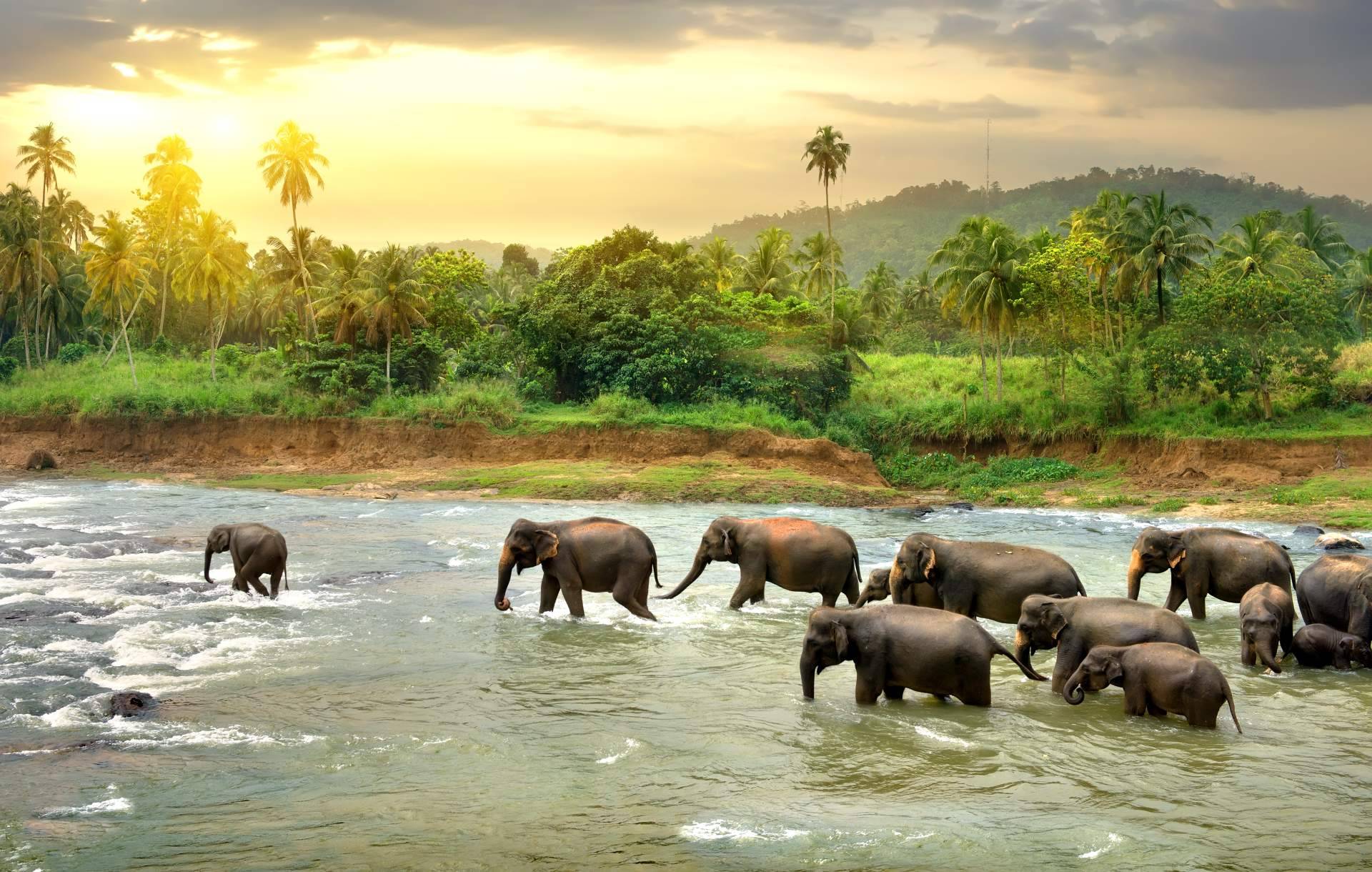 Sri Lanka Viajes Edén, la hospitalidad en Sri Lanka en tiempos de crisis