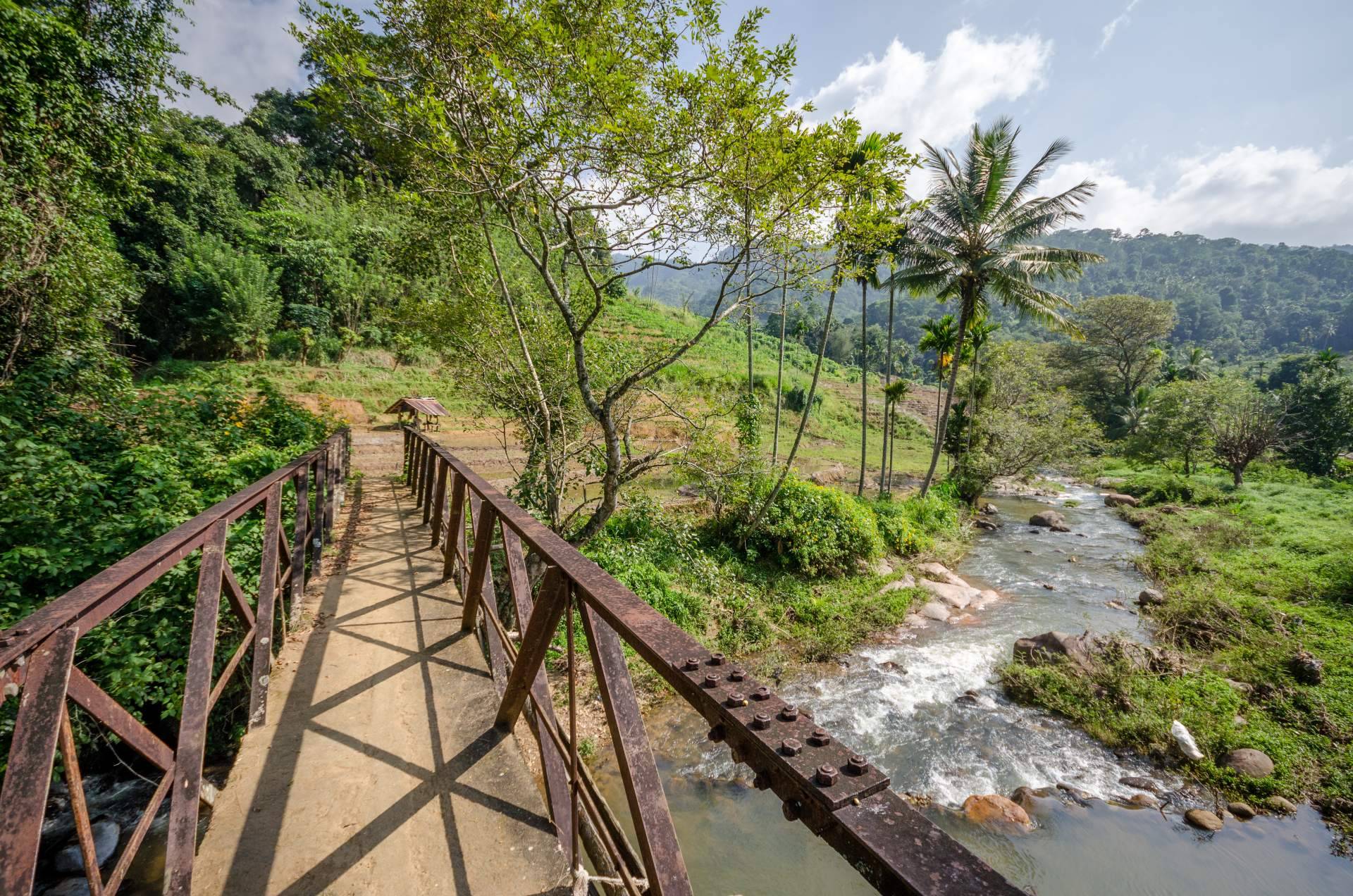 Viajes Edén es una agencia especializada en viajes a Sri Lanka que recomienda visitar Knuckles