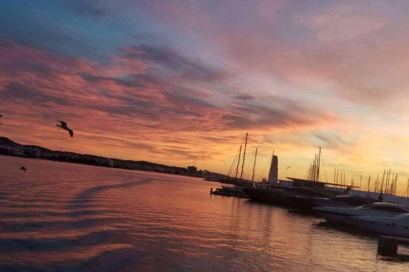 Disfrutar de Ibiza durante el verano con algunas actividades muy recomendadas, con Float Your Boat