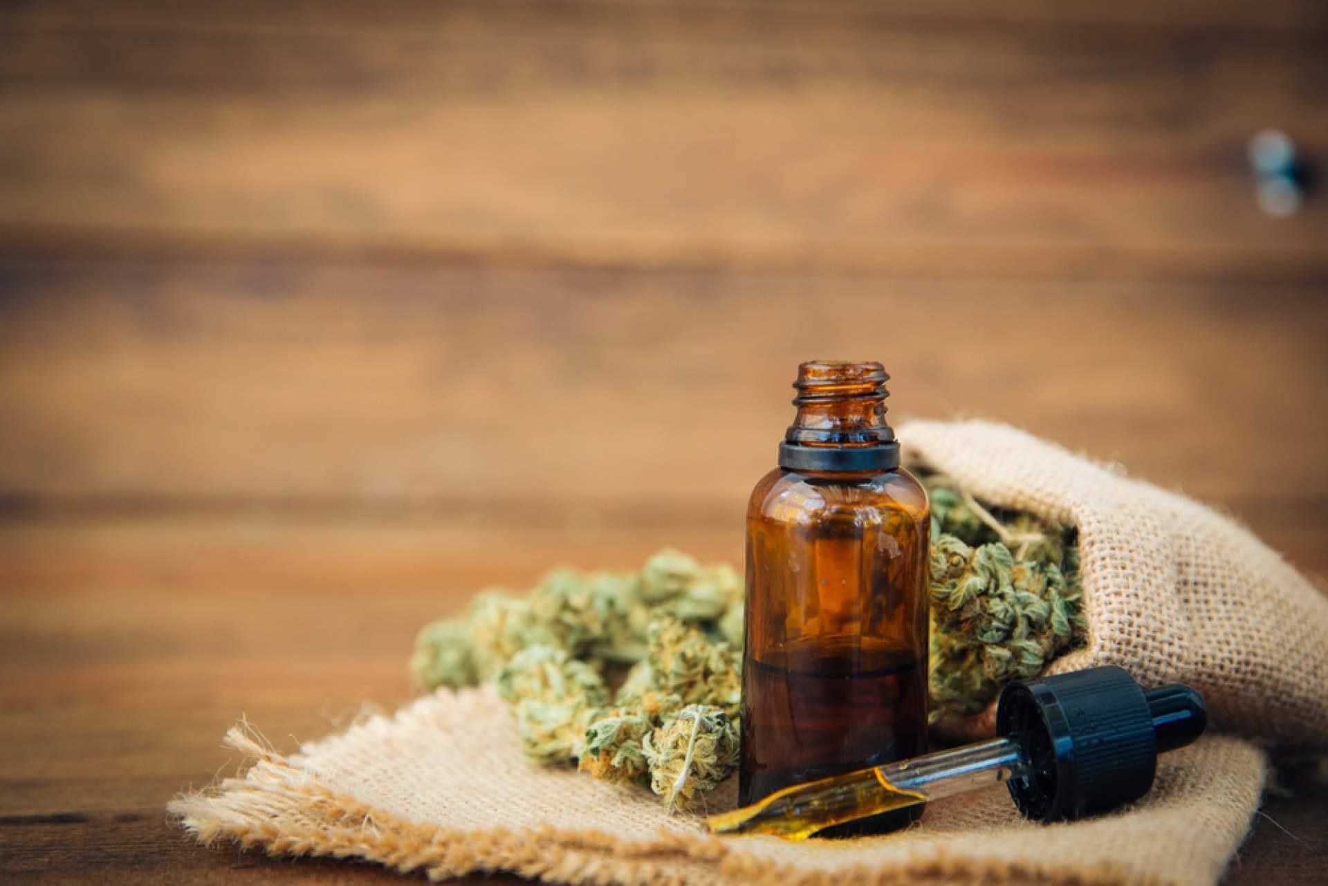 HerbieSeeds es una de las marcas líderes en la venta de semillas de marihuana en España