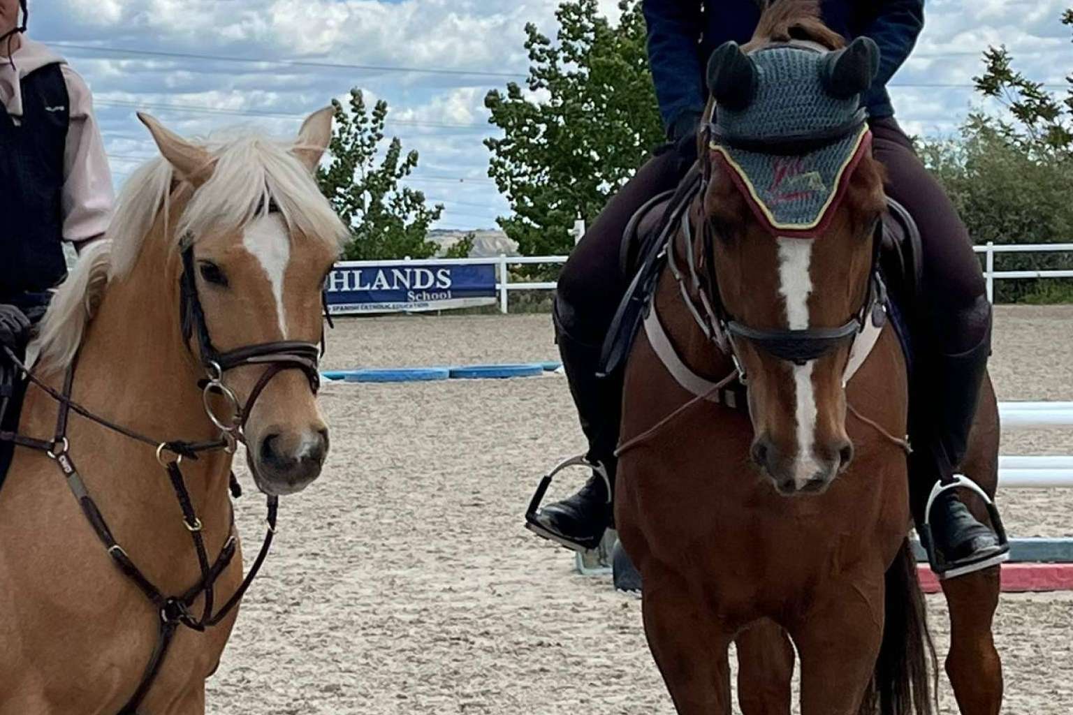 Detalles sobre la próxima II Copa Comunidad de Madrid de Salto de Obstáculos
