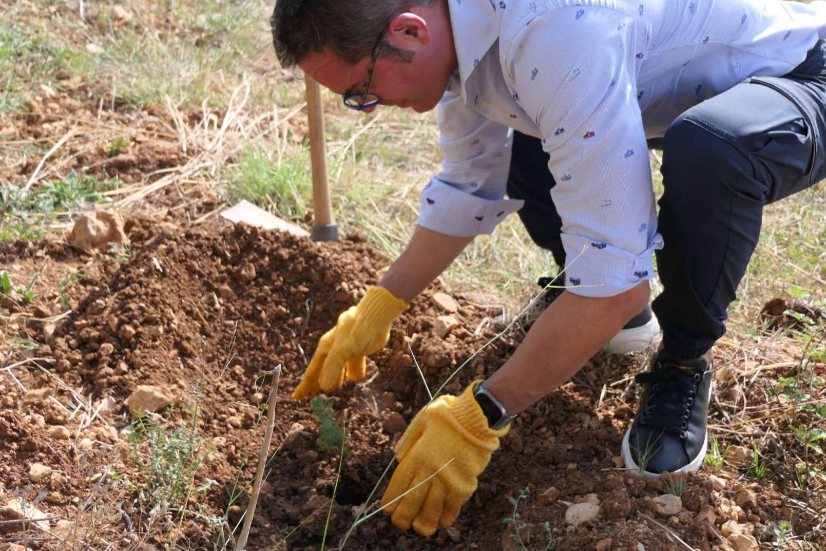 Alicante acoge el 9º bosque del programa 'Juega tu papel'