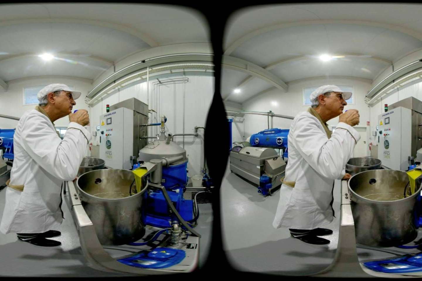 Descubrir la historia del aceite de oliva, con la experiencia de oleoturismo de Aires de Jaén