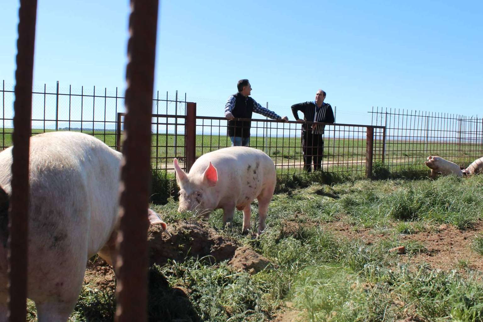 El papel de las familias ganaderas en la alimentación ecológica