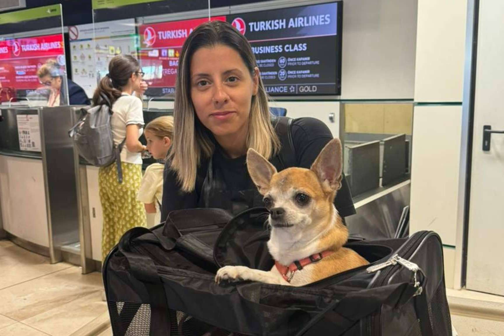 El servicio de traslado de mascotas de Pet World Travel se amplía tanto en España como en Europa