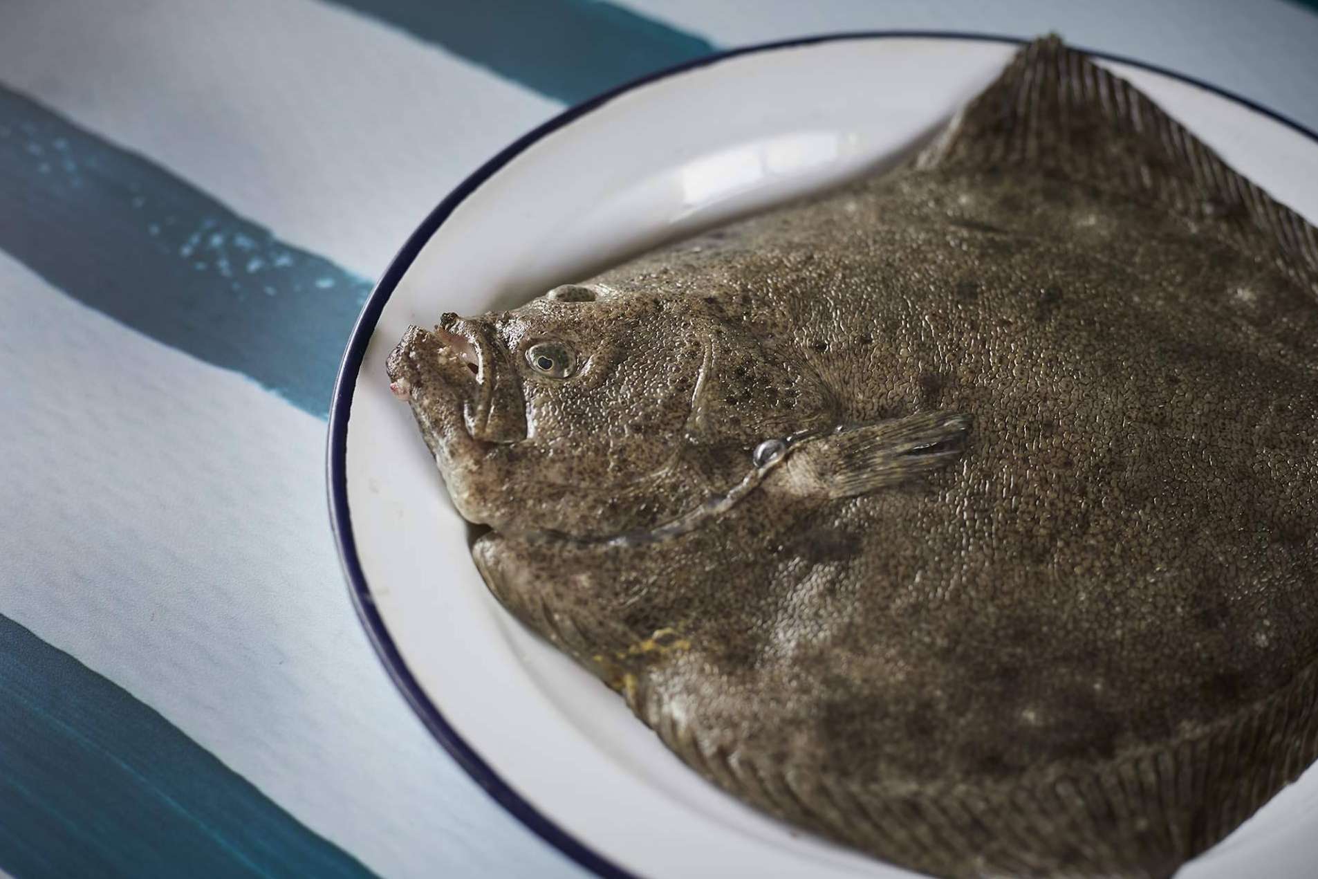 Pescado blanco, la clave para volver a los hábitos saludables después del verano