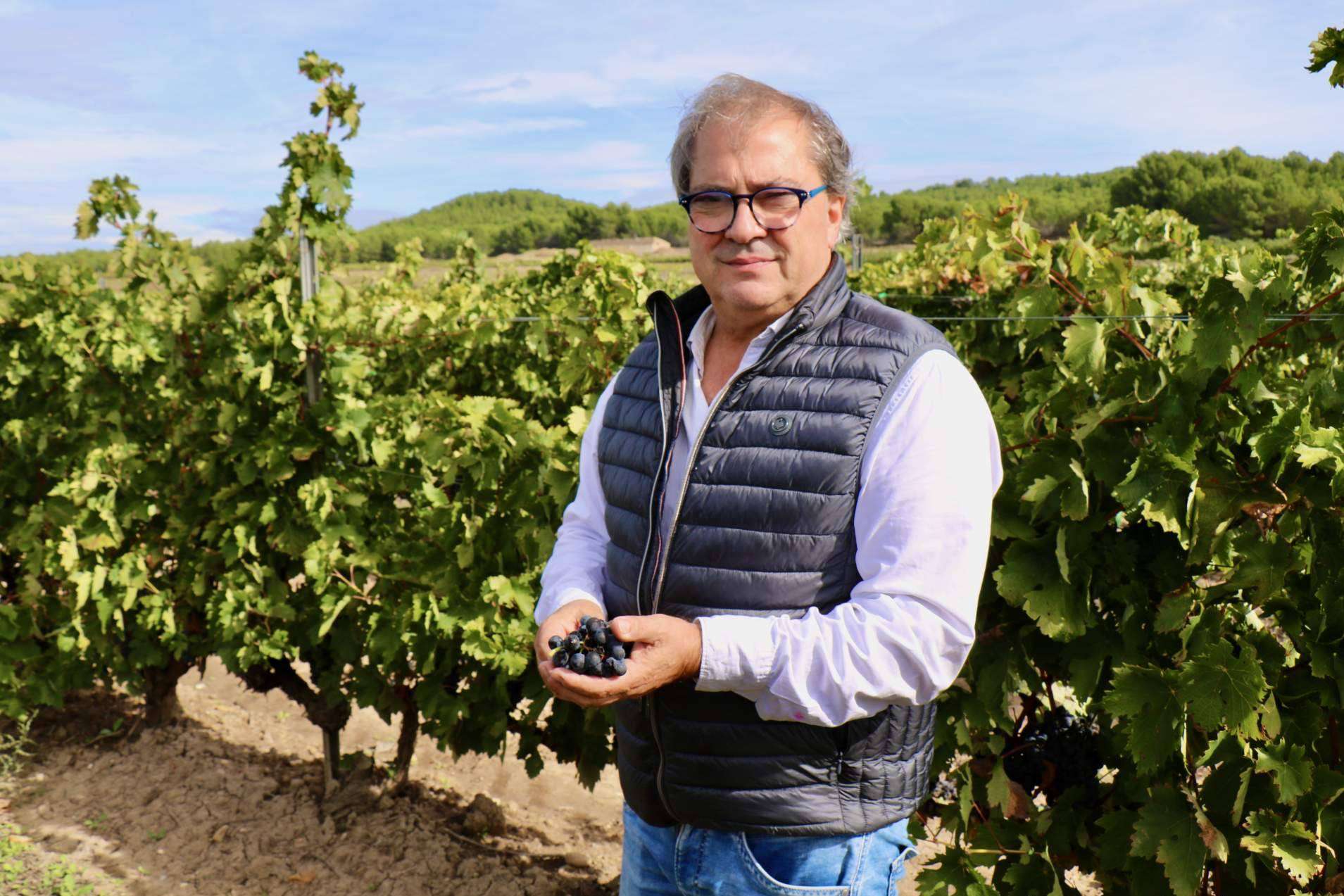 La vendimia 2024 en La Rioja, el inicio de la nueva añada de Cornelio Dinastía