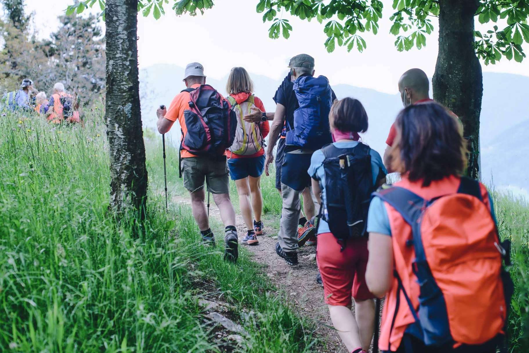 Descubrir la magia de Santiago de Compostela con un Free tour