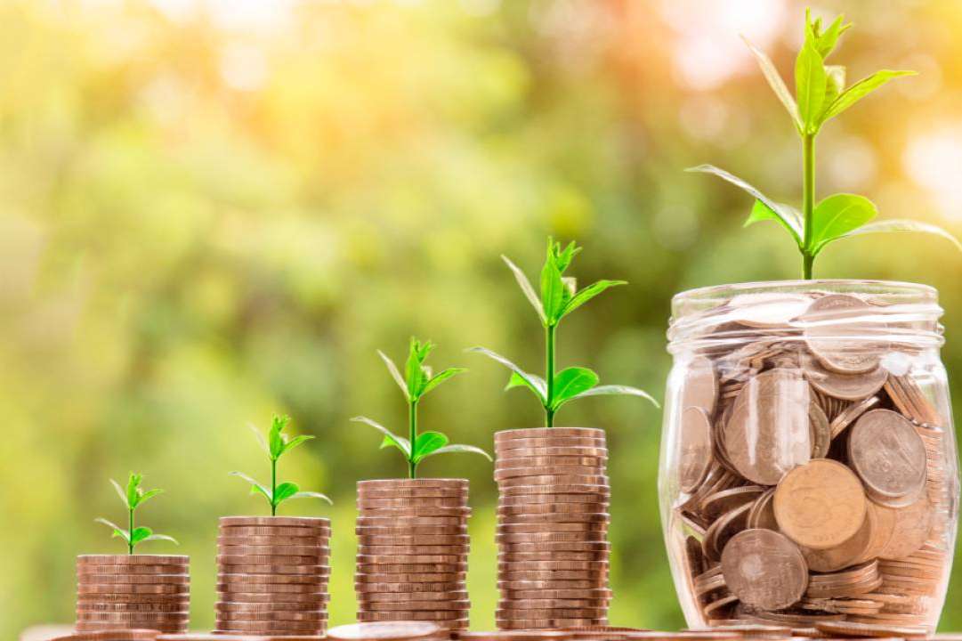 La biomasa; una alternativa ecológica para reducir emisiones y fomentar la sostenibilidad