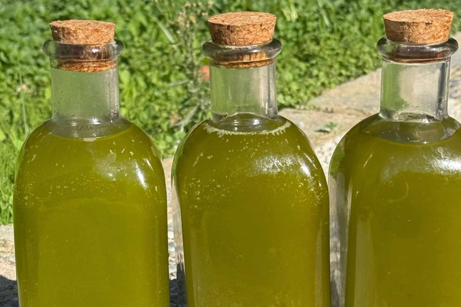 La pureza del aceite de oliva virgen extra desde la perspectiva de Tercio de las Torres