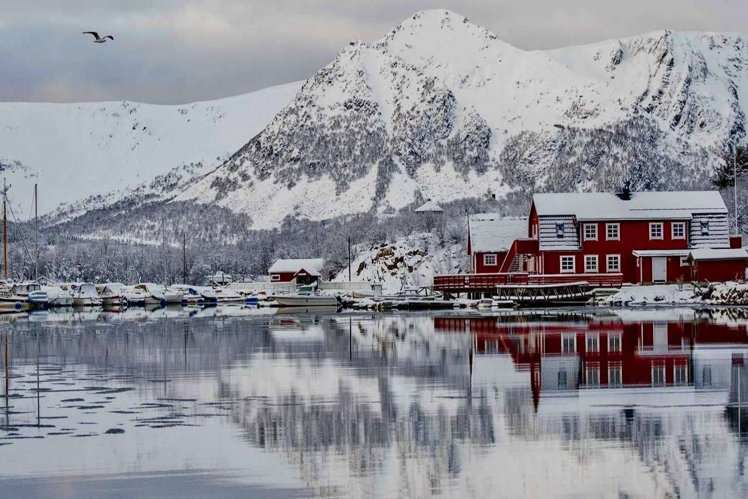 El círculo polar ártico enfrenta transformaciones extremas entre deshielos, incendios y adaptación climática