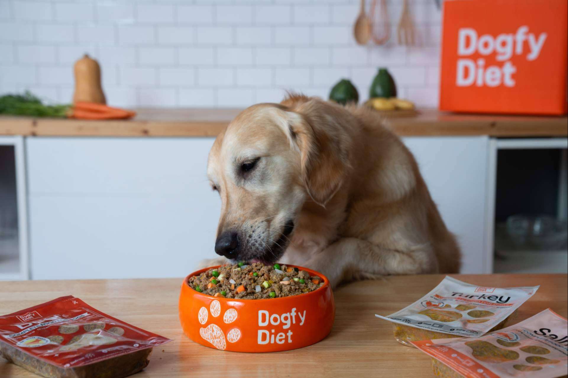 Tendencias en alimentación natural para perros; una revolución hacia la salud y sostenibilidad