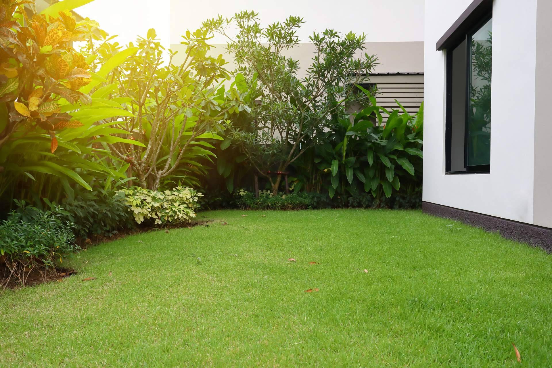 La guía definitiva para mantener el jardín bonito sin esfuerzo