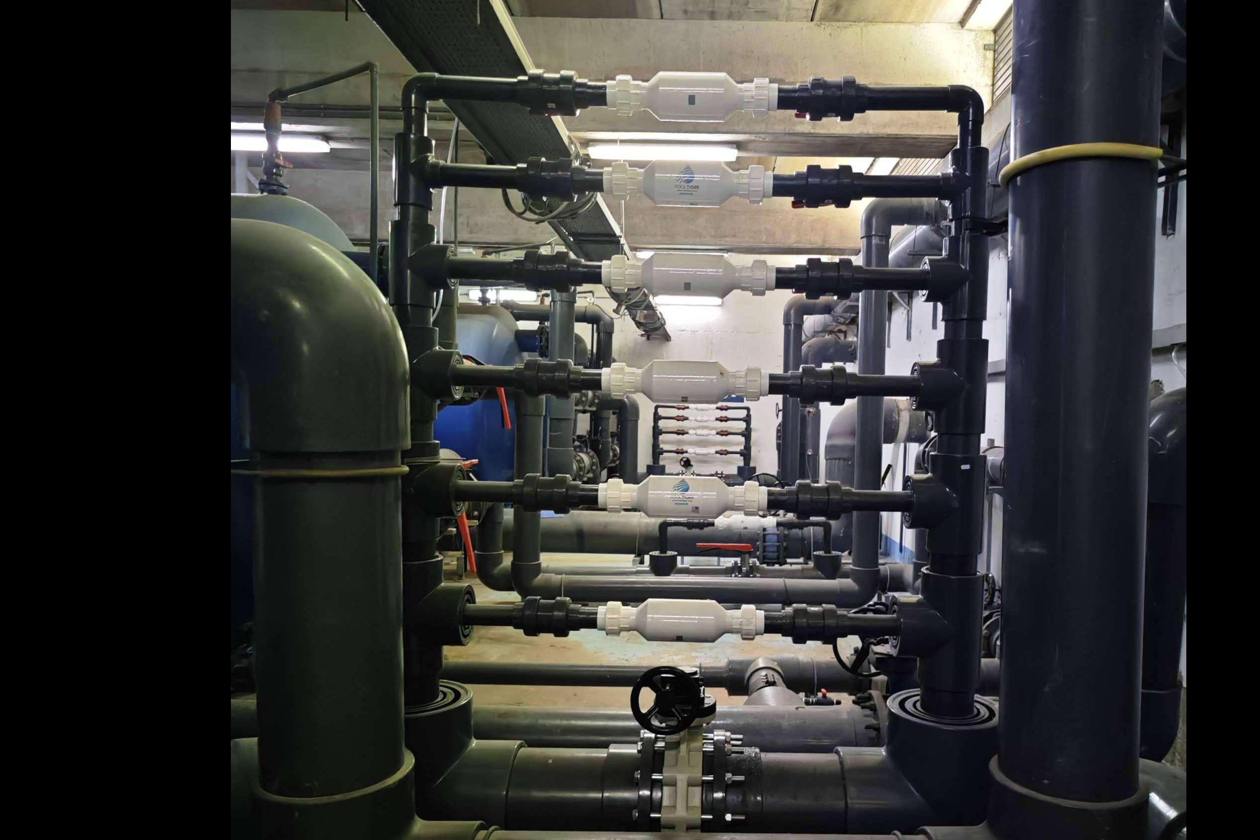 POOL TIGER EUROPE ofrece un sistema de desinfección ecológica que mejora la calidad del agua