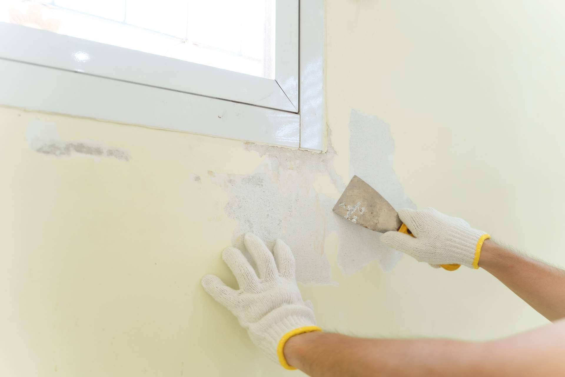 Pinturas a la Carta ofrece recomendaciones para obtener un acabado de pintura perfecto