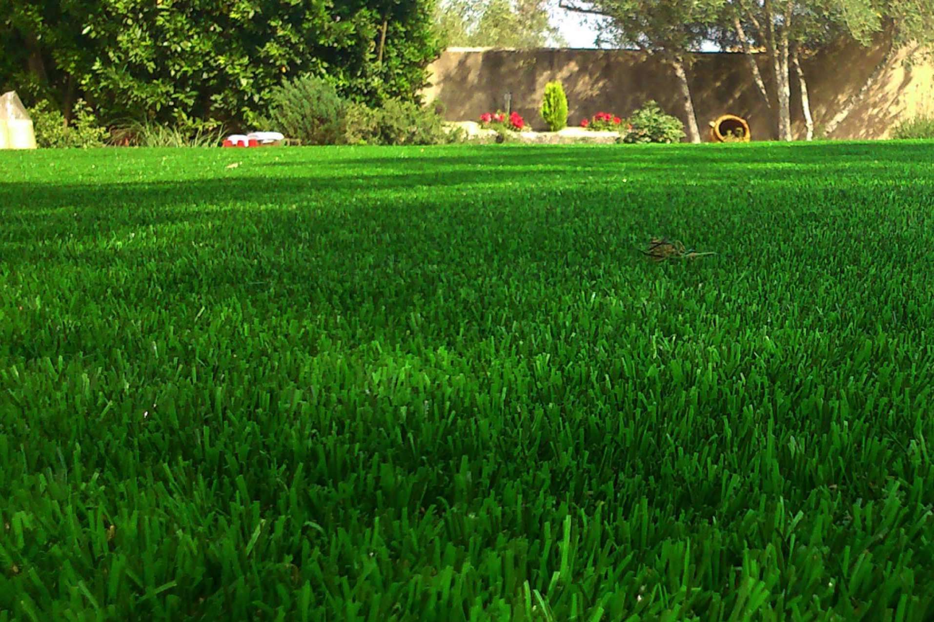 Este verano, el césped artificial para piscina de Albergrass permite disfrutar sin preocupaciones de mantenimiento
