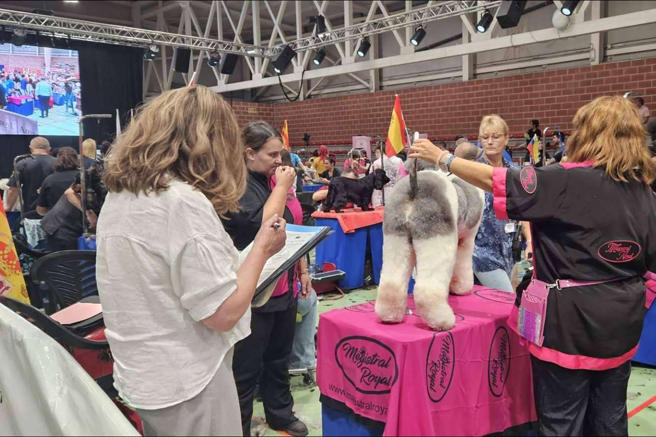 Murcia será sede del estilismo canino más top del mundo este octubre