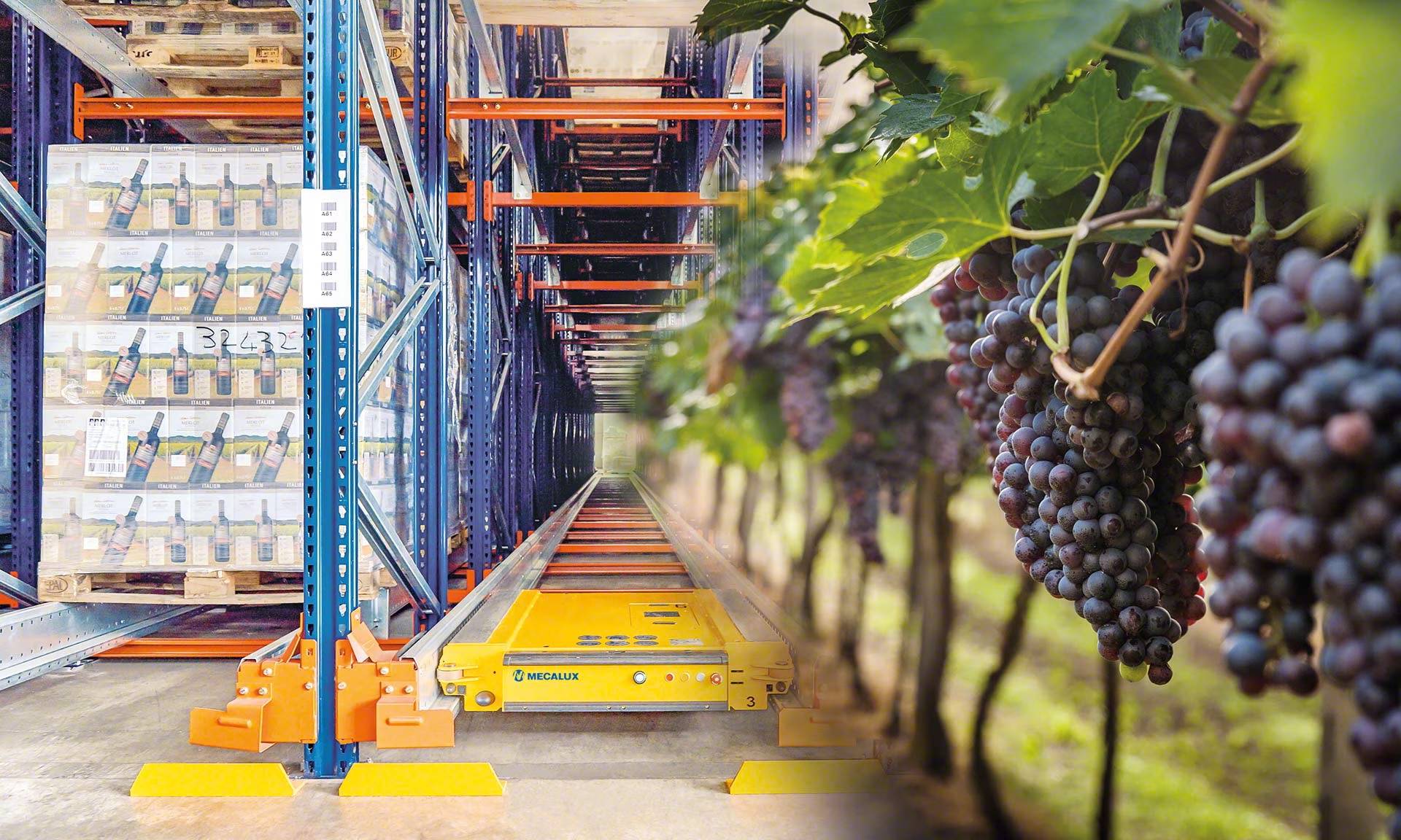 Difersa & Primavinia alcanza 15 millones de euros y refuerza su crecimiento en Galicia