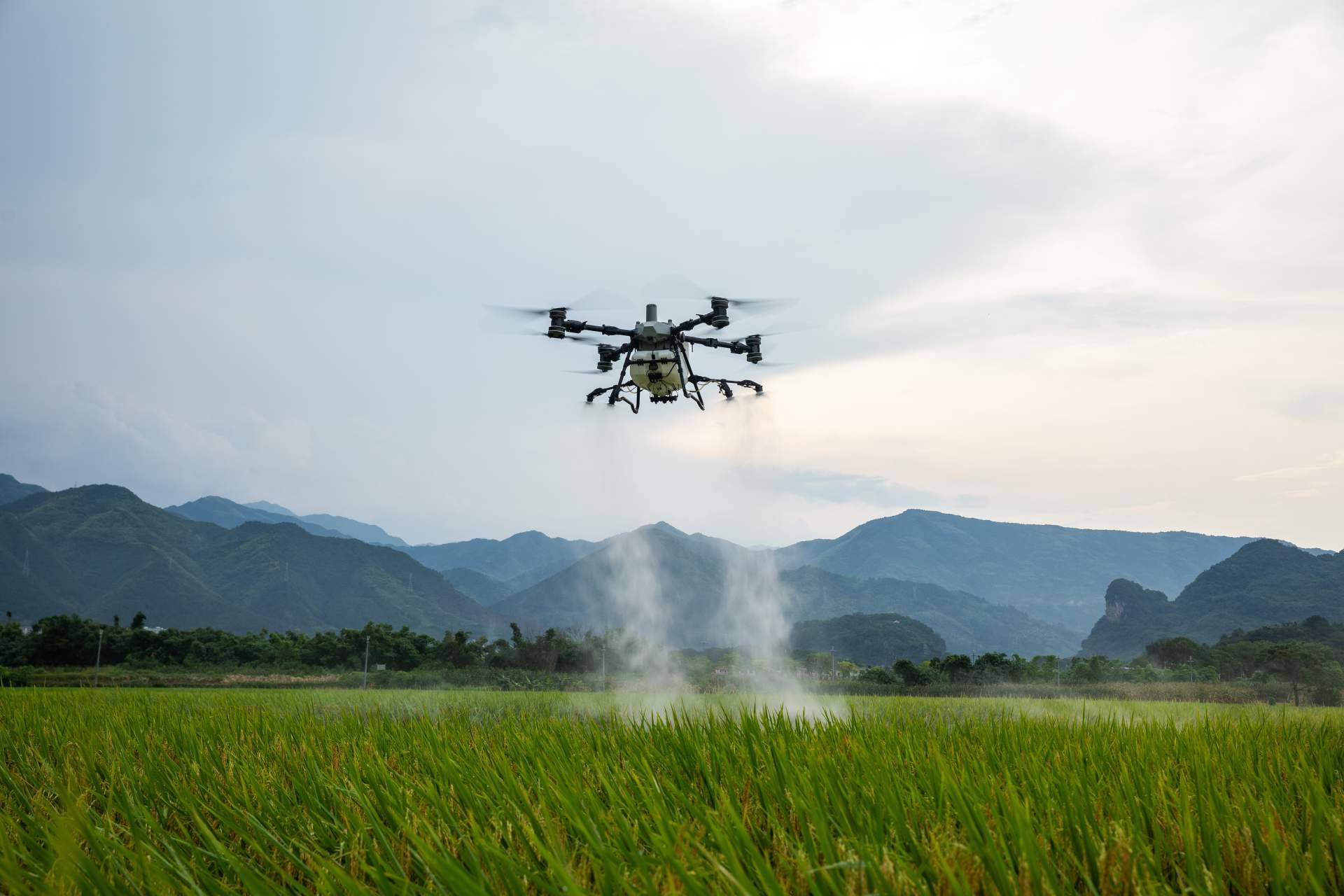 Llega a España el dron DJI Agras T100 de la mano de Aerofor, distribuidor oficial de DJI Agriculture