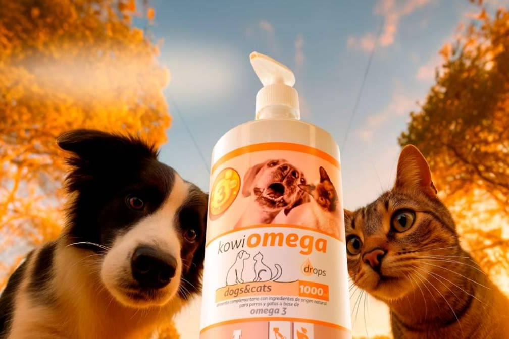 ¿Cuándo usar condroprotectores y cuándo Omega 3 para cuidar las articulaciones de perros y gatos?