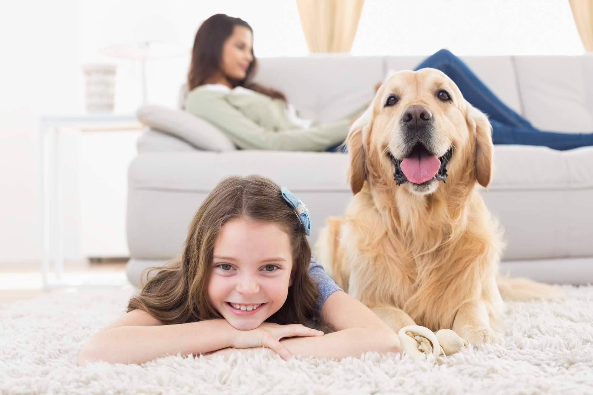 Mutuarisk lanza su campaña de bienestar animal con regalo seguro