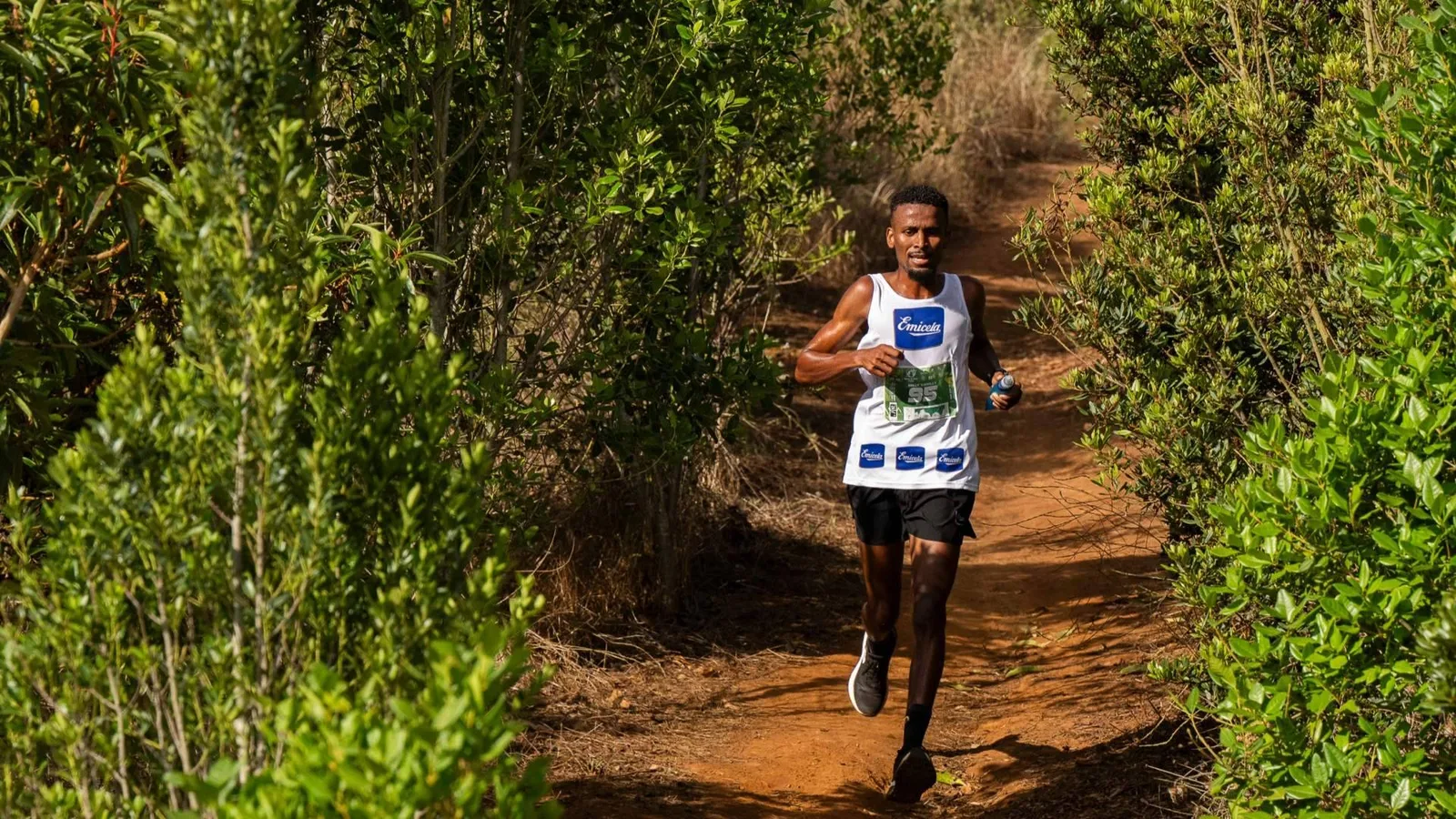 Correr, animar o jugar; la Aguas de Teror Trail lanza La Quiniela Emicela para todo el que quiera participar