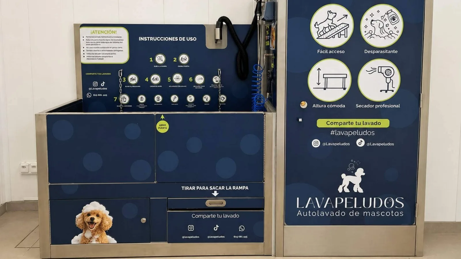 Lavapeludos revoluciona el cuidado de las mascotas con un servicio rápido, económico y sin cita previa